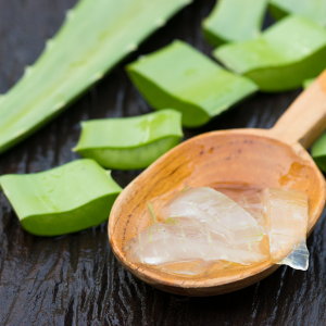 Aloe Vera for Hair Loss