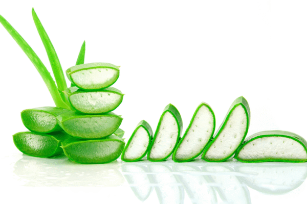 Aloe Vera for Hair Loss