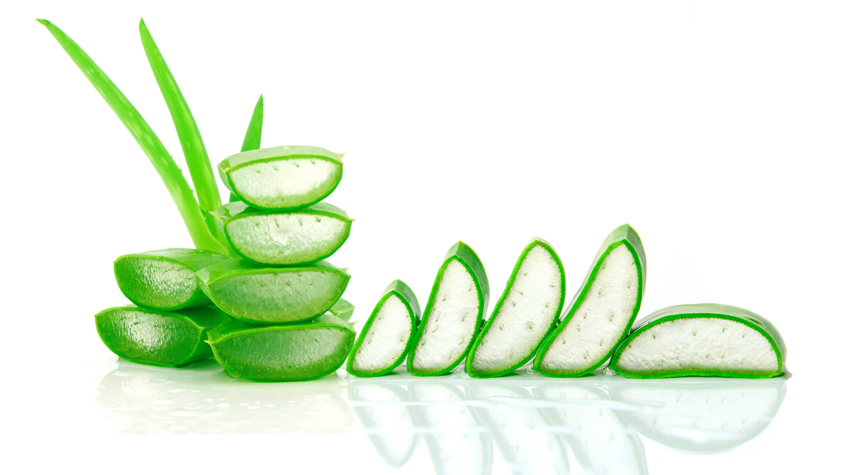 Aloe Vera for Hair Loss