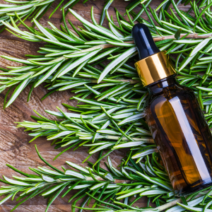 Rosemary Oil for Hair Loss