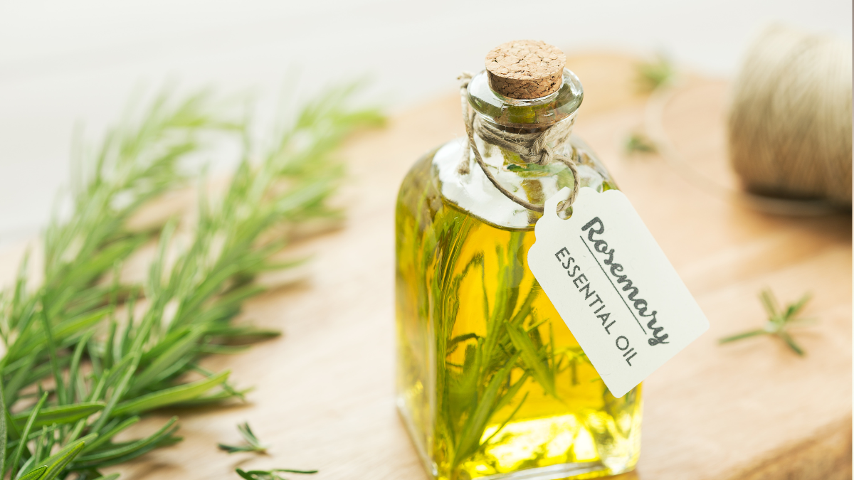 Rosemary Oil for Hair Loss